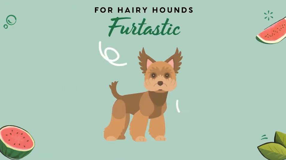 Shampooing Pet Head Furtastic pour chien vidéo_1
