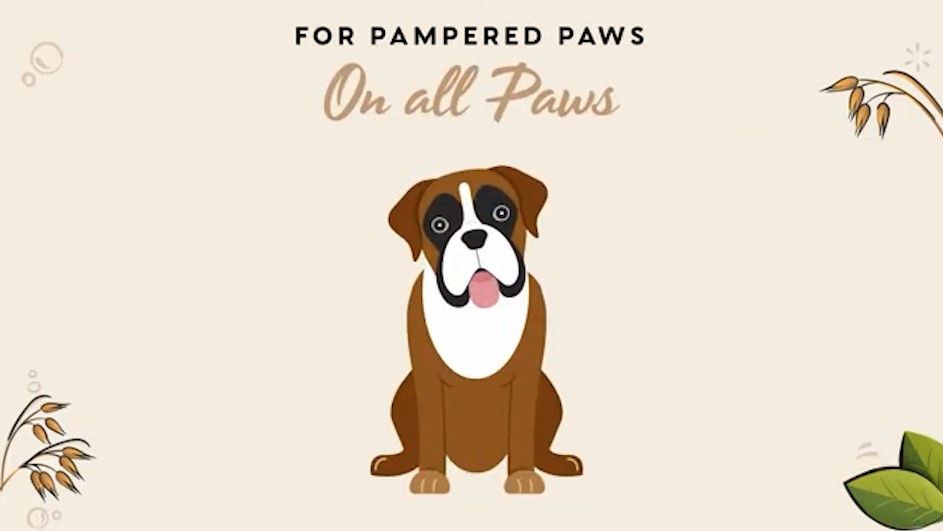 Crème All Paws Butter COCONUT pour chien vidéo_1