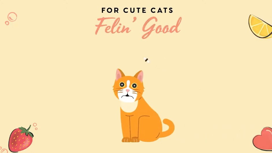 Shampoing Felin’ Good pour chats vidéo_1