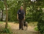 Canicom - Conseil avace l'utilisation de votre collier de dressage vidéo_1