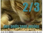 Intense hairball - Royal Canin vidéo_1