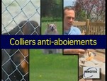 Collier anti-aboiement Innotek vidéo_1