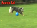 Boomer Ball vidéo_1