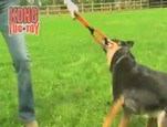 Jouet Kong Tug vidéo_1