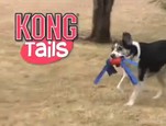 La gamme Kong Tails vidéo_1