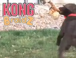 La gamme Kong Braidz vidéo_1