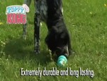 la gamme Kong Puppy vidéo_1